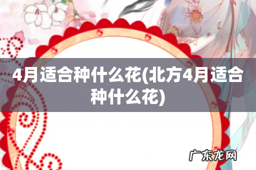 北方4月适合种什么花 4月适合种什么花