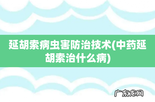 中药延胡索治什么病 延胡索病虫害防治技术
