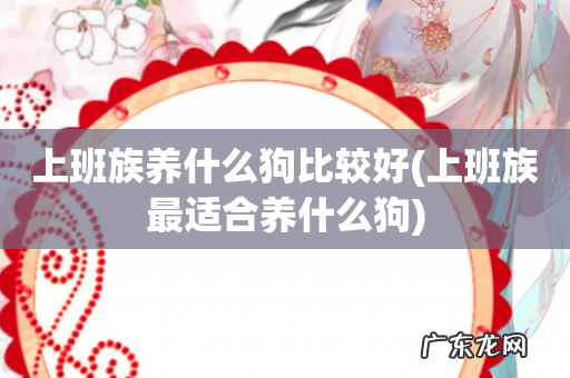 上班族最适合养什么狗 上班族养什么狗比较好