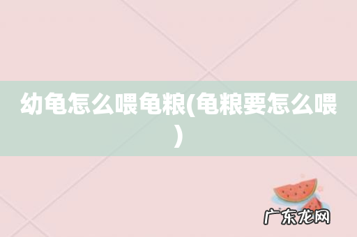 龟粮要怎么喂 幼龟怎么喂龟粮