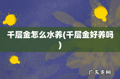 千层金好养吗 千层金怎么水养