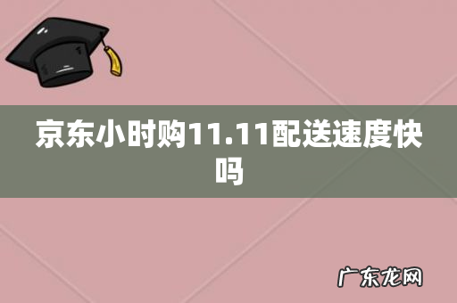 京东小时购11.11配送速度快吗