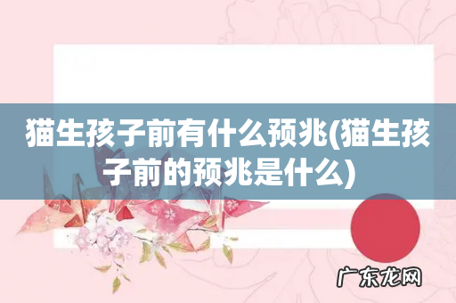 猫生孩子前的预兆是什么 猫生孩子前有什么预兆