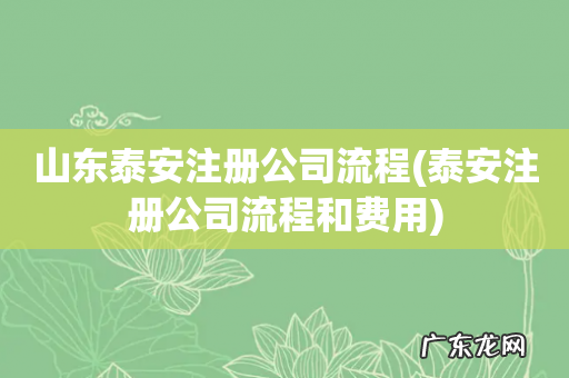 泰安注册公司流程和费用 山东泰安注册公司流程