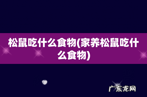 家养松鼠吃什么食物 松鼠吃什么食物