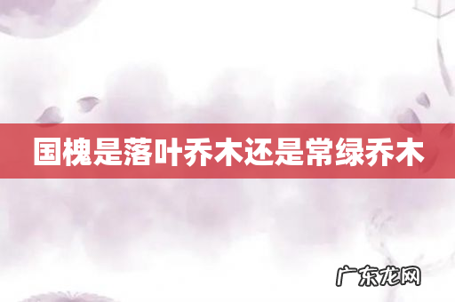 国槐是落叶乔木还是常绿乔木