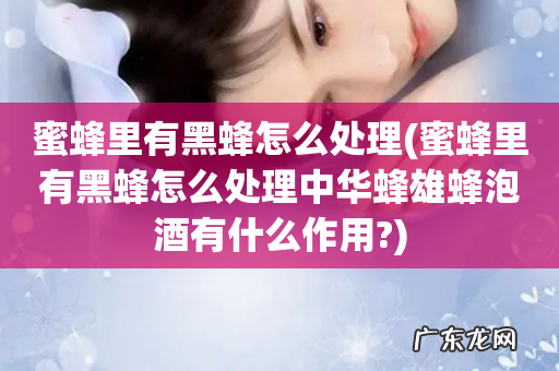 蜜蜂里有黑蜂怎么处理中华蜂雄蜂泡酒有什么作用? 蜜蜂里有黑蜂怎么处理