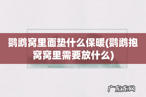 鹦鹉抱窝窝里需要放什么 鹦鹉窝里面垫什么保暖