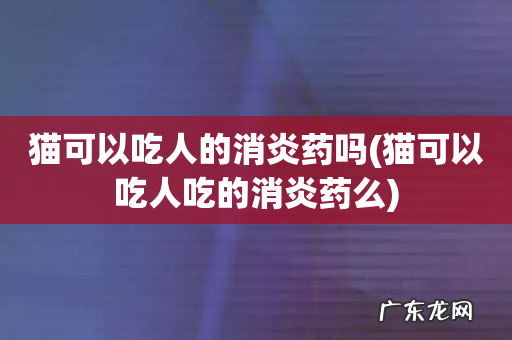 猫可以吃人吃的消炎药么 猫可以吃人的消炎药吗
