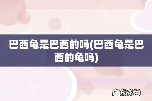 巴西龟是巴西的龟吗 巴西龟是巴西的吗