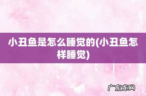 小丑鱼怎样睡觉 小丑鱼是怎么睡觉的