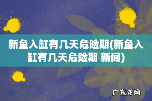 新鱼入缸有几天危险期 新闻 新鱼入缸有几天危险期