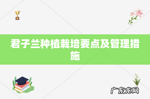 君子兰种植栽培要点及管理措施