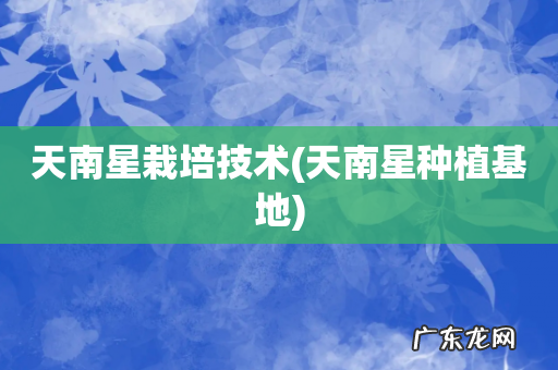 天南星种植基地 天南星栽培技术