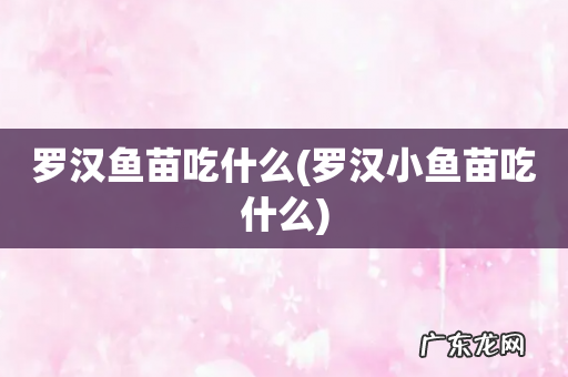 罗汉小鱼苗吃什么 罗汉鱼苗吃什么