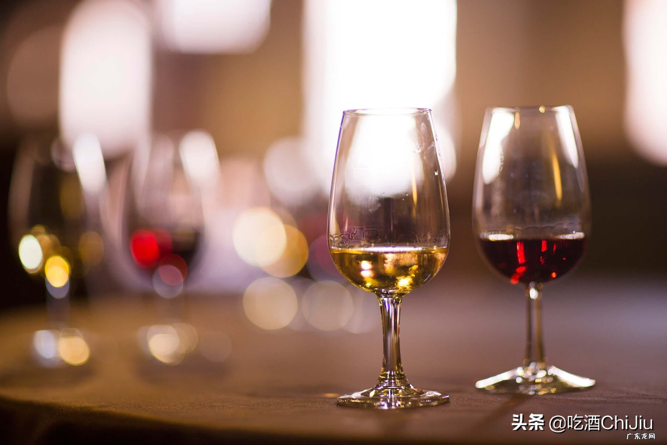 白葡萄酒好还是红葡萄酒好喝 白葡萄酒和红葡萄酒的区别是什么