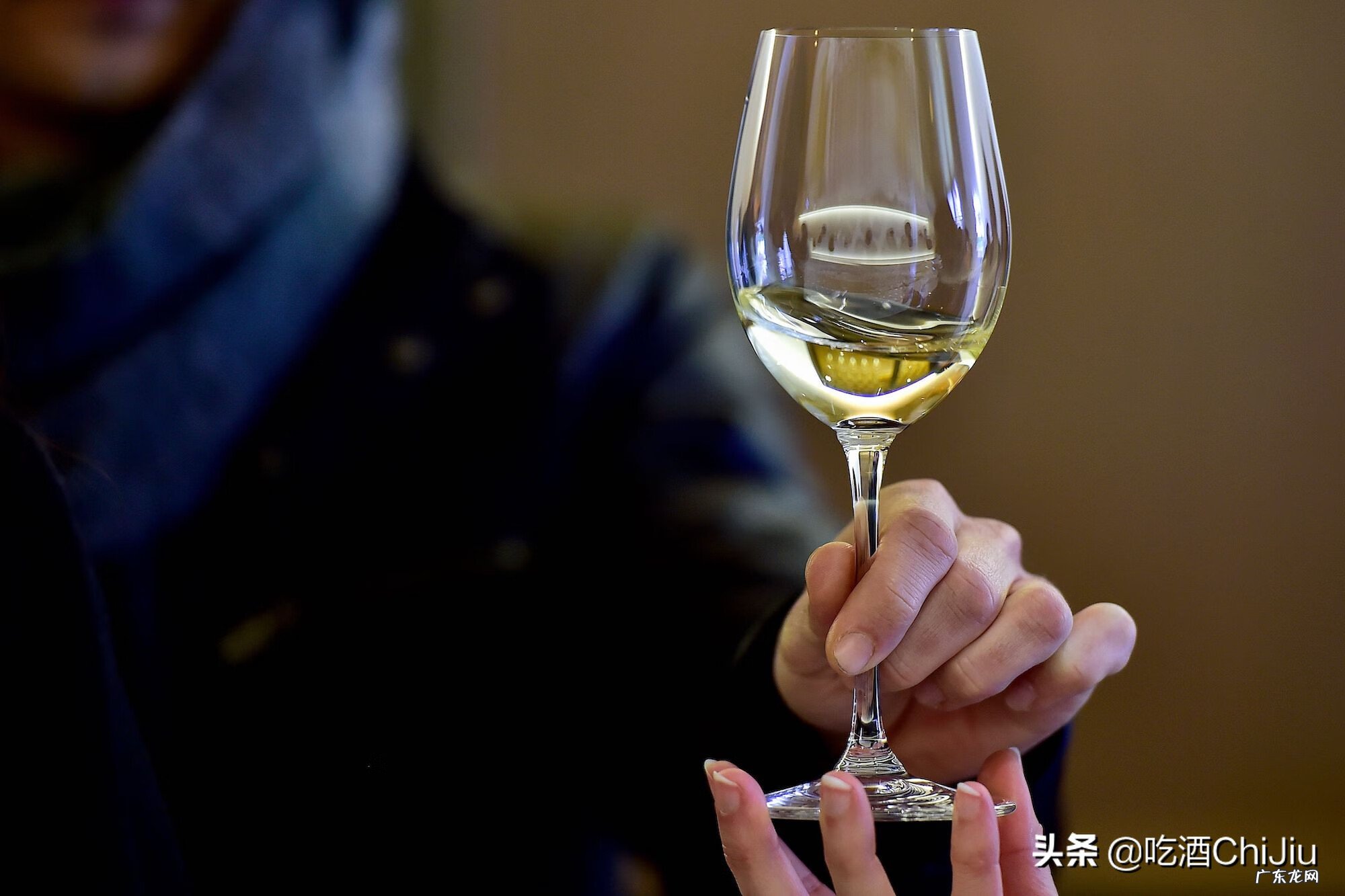 白葡萄酒好还是红葡萄酒好喝 白葡萄酒和红葡萄酒的区别是什么