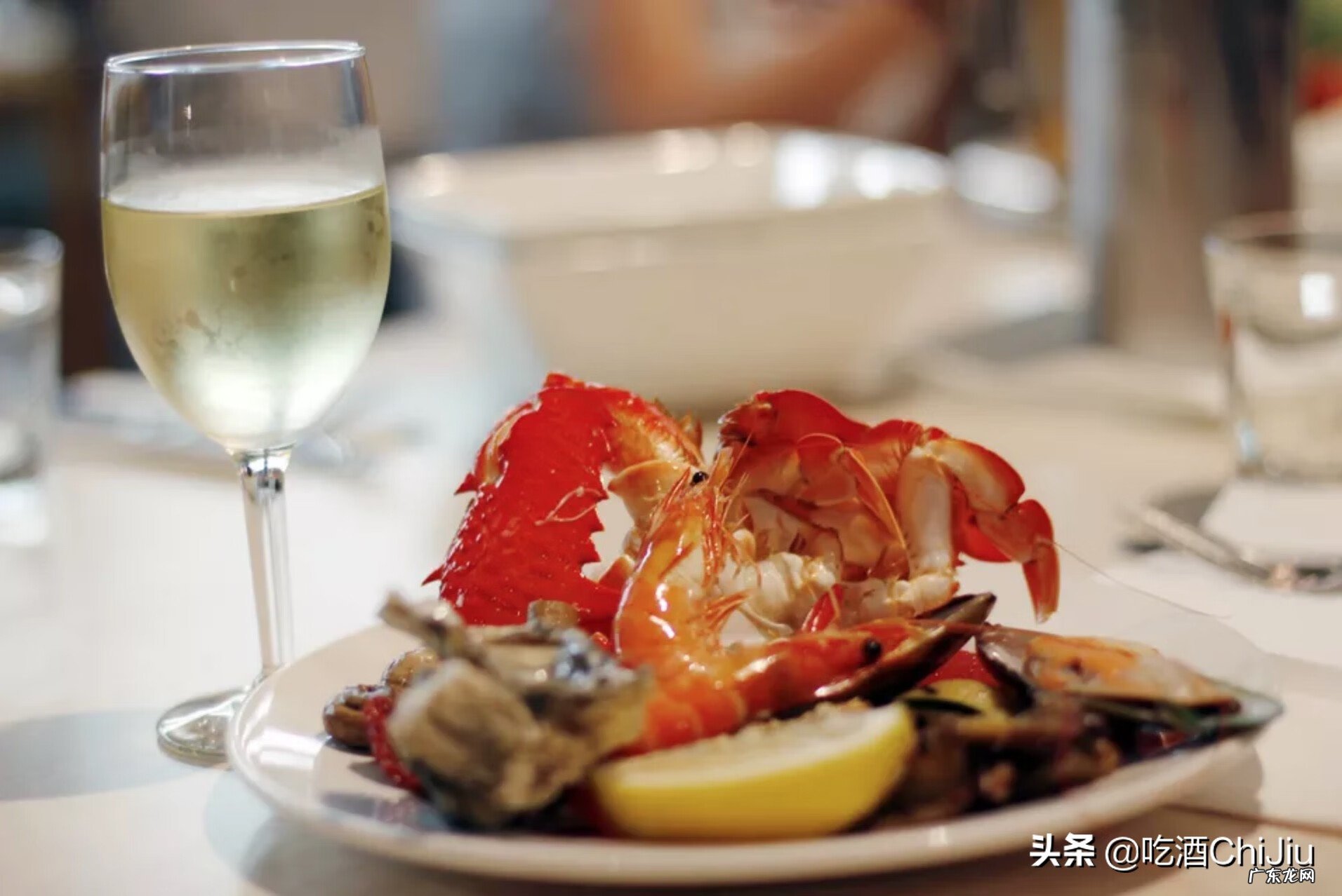 白葡萄酒好还是红葡萄酒好喝 白葡萄酒和红葡萄酒的区别是什么