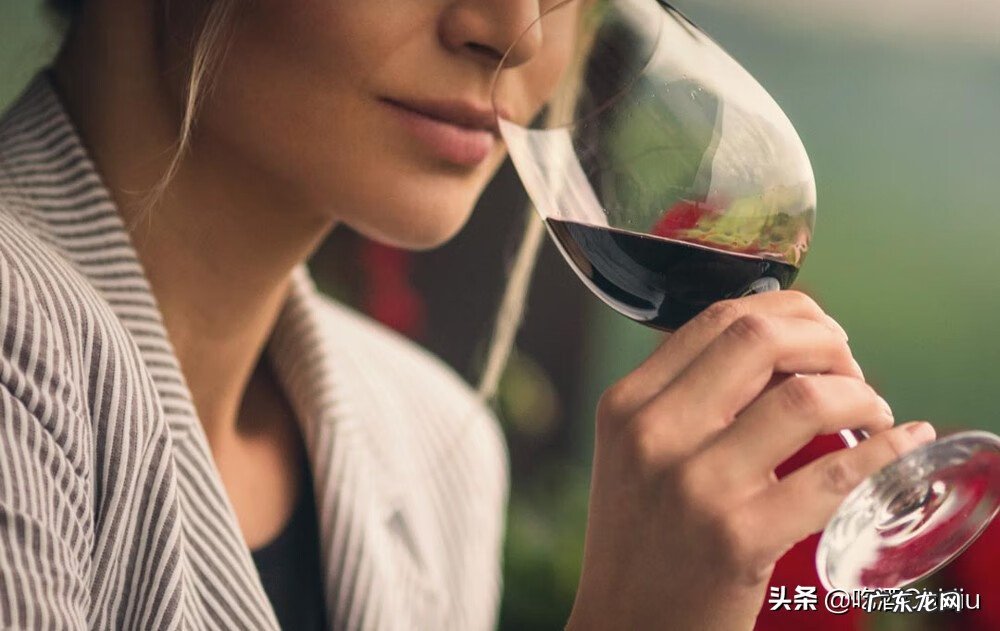 白葡萄酒好还是红葡萄酒好喝 白葡萄酒和红葡萄酒的区别是什么