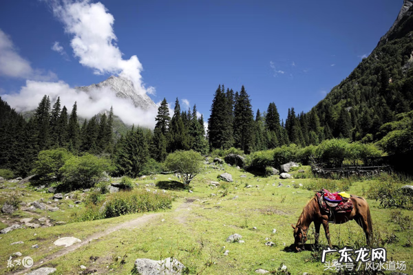 看房子风水宝地口诀 风水宝地一定要有水吗