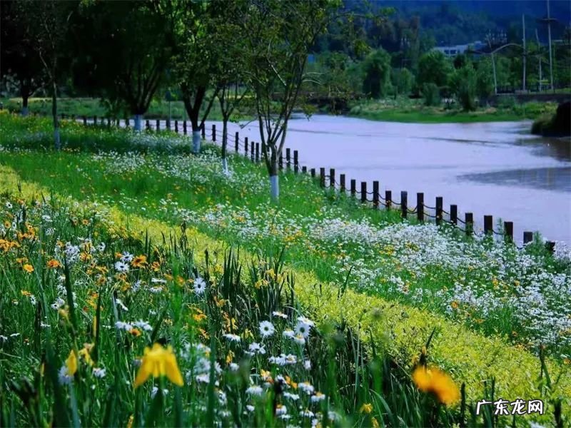 沐川县舟坝镇 沐川县咋样