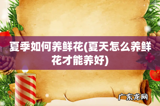 夏天怎么养鲜花才能养好 夏季如何养鲜花