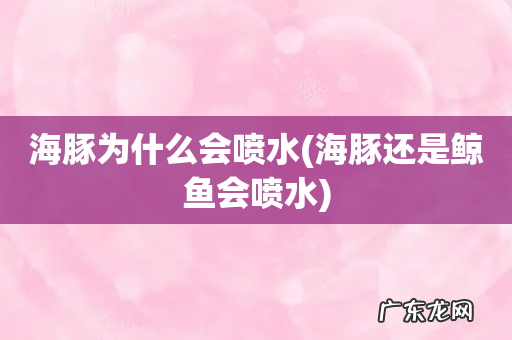 海豚还是鲸鱼会喷水 海豚为什么会喷水