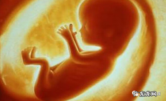 胎儿宫内发育迟缓的表现 胎儿宫内发育迟缓怎么办