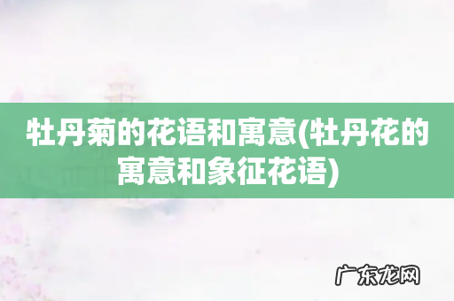 牡丹花的寓意和象征花语 牡丹菊的花语和寓意