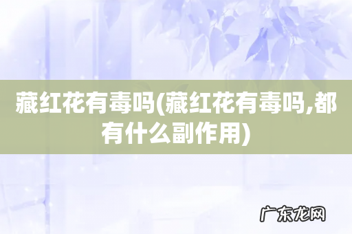 藏红花有毒吗,都有什么副作用 藏红花有毒吗