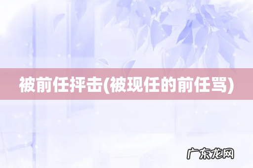 被现任的前任骂 被前任抨击