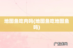 地图鱼吃地图鱼吗 地图鱼吃肉吗