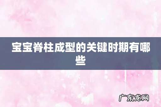 宝宝脊柱成型的关键时期有哪些