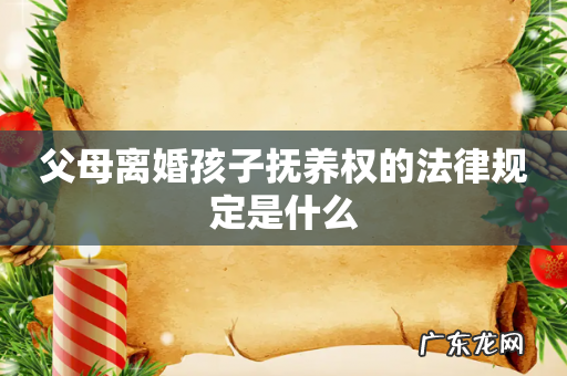 父母离婚孩子抚养权的法律规定是什么