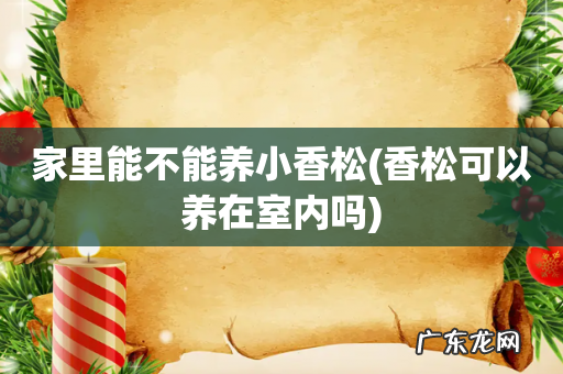 香松可以养在室内吗 家里能不能养小香松