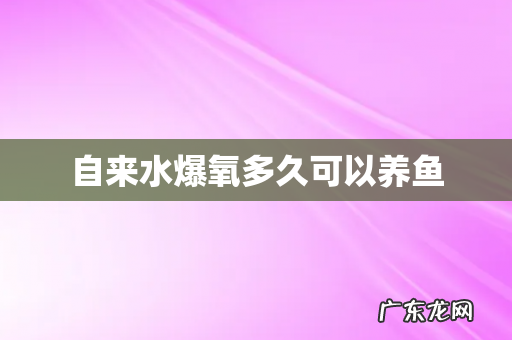 自来水爆氧多久可以养鱼