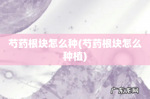 芍药根块怎么种植 芍药根块怎么种