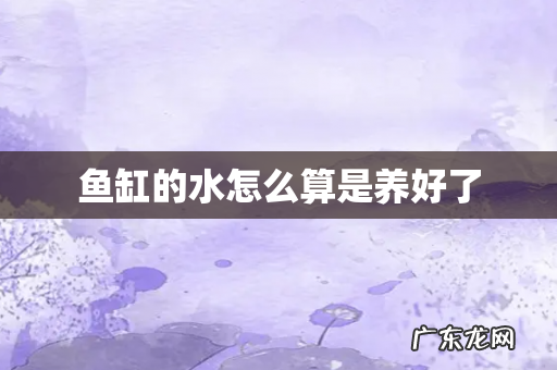 鱼缸的水怎么算是养好了