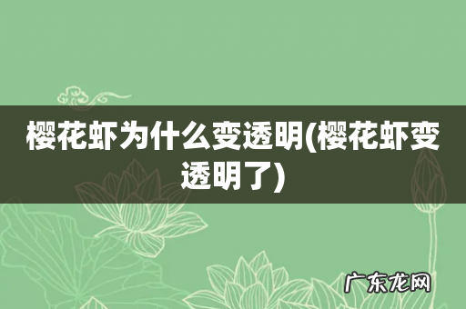 樱花虾变透明了 樱花虾为什么变透明