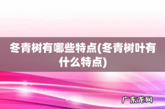 冬青树叶有什么特点 冬青树有哪些特点