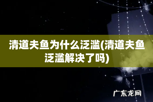 清道夫鱼泛滥解决了吗 清道夫鱼为什么泛滥