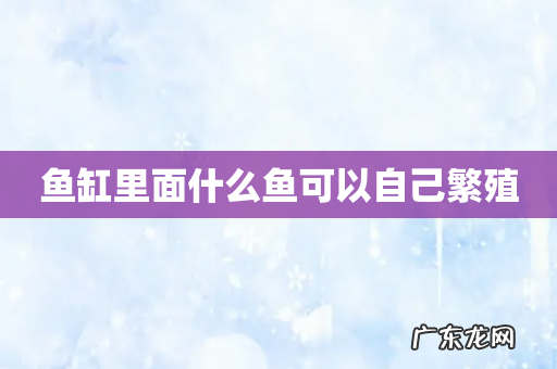 鱼缸里面什么鱼可以自己繁殖