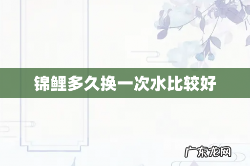 锦鲤多久换一次水比较好