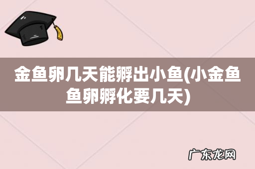 小金鱼鱼卵孵化要几天 金鱼卵几天能孵出小鱼