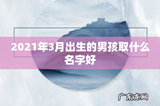 2021年3月出生的男孩取什么名字好