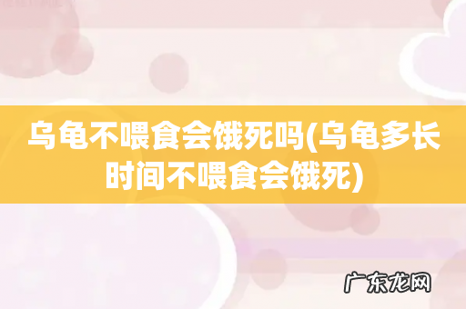 乌龟多长时间不喂食会饿死 乌龟不喂食会饿死吗