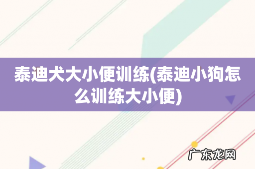 泰迪小狗怎么训练大小便 泰迪犬大小便训练