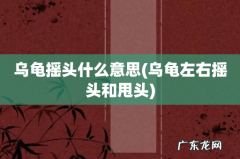 乌龟左右摇头和甩头 乌龟摇头什么意思