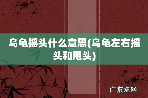 乌龟左右摇头和甩头 乌龟摇头什么意思