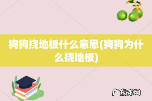狗狗为什么挠地板 狗狗挠地板什么意思